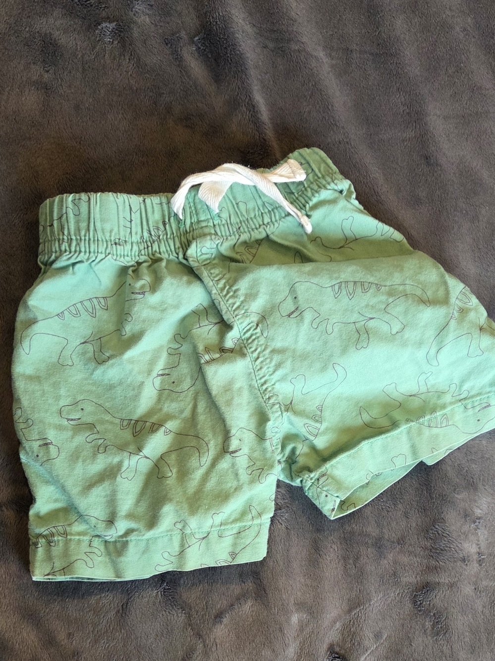 Carter's Baby Green Dinosaur Print Shorts Size 12M